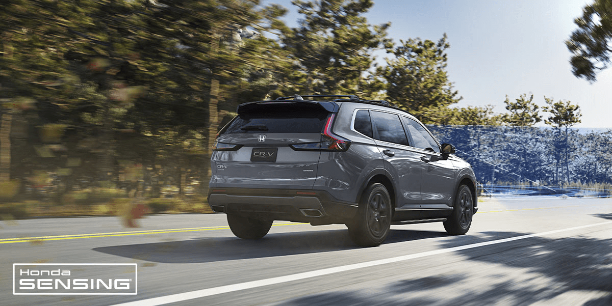cr-v hybrid posterior